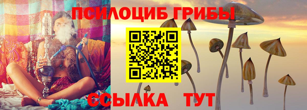 Псилоцибиновые грибы Magic Shrooms  Псилоцибиновые грибы мухоморы  Вход с VPN  Наро-Фоминск 